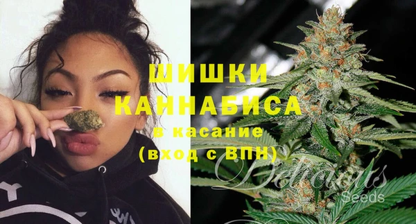 ешки Алзамай